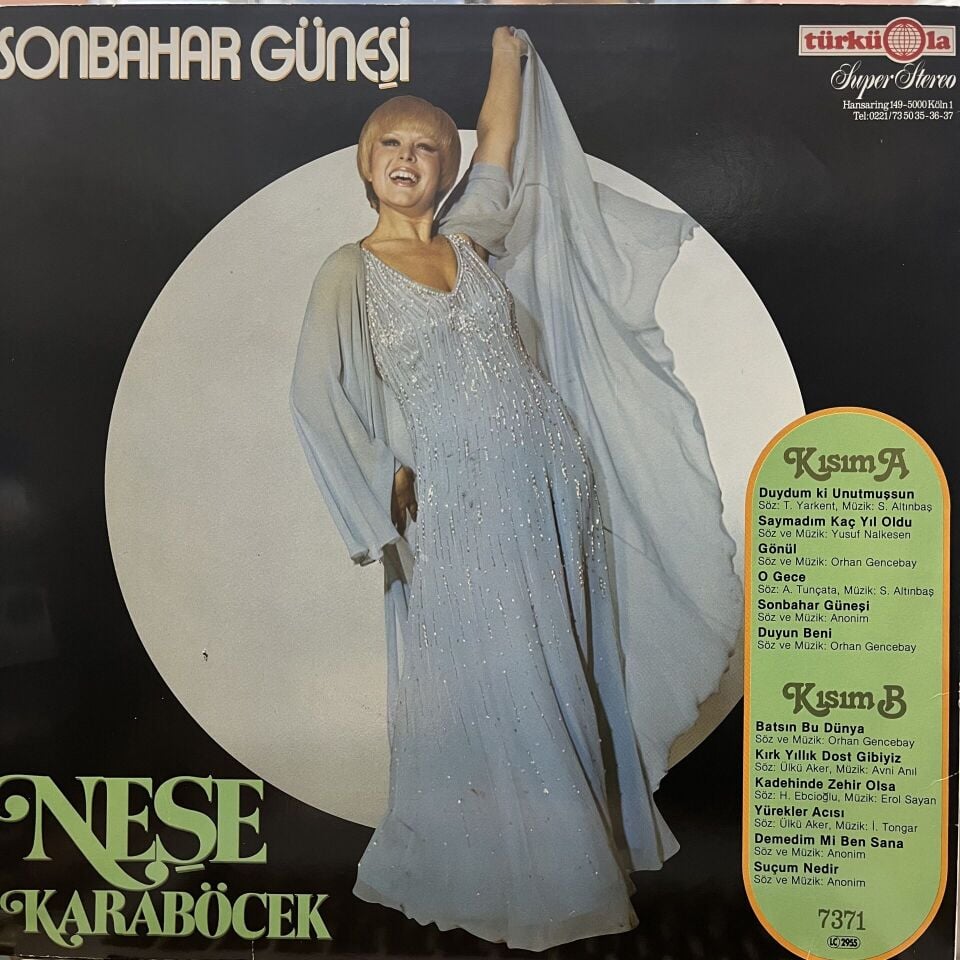 Neşe Karaböcek – Sonbahar Güneşi